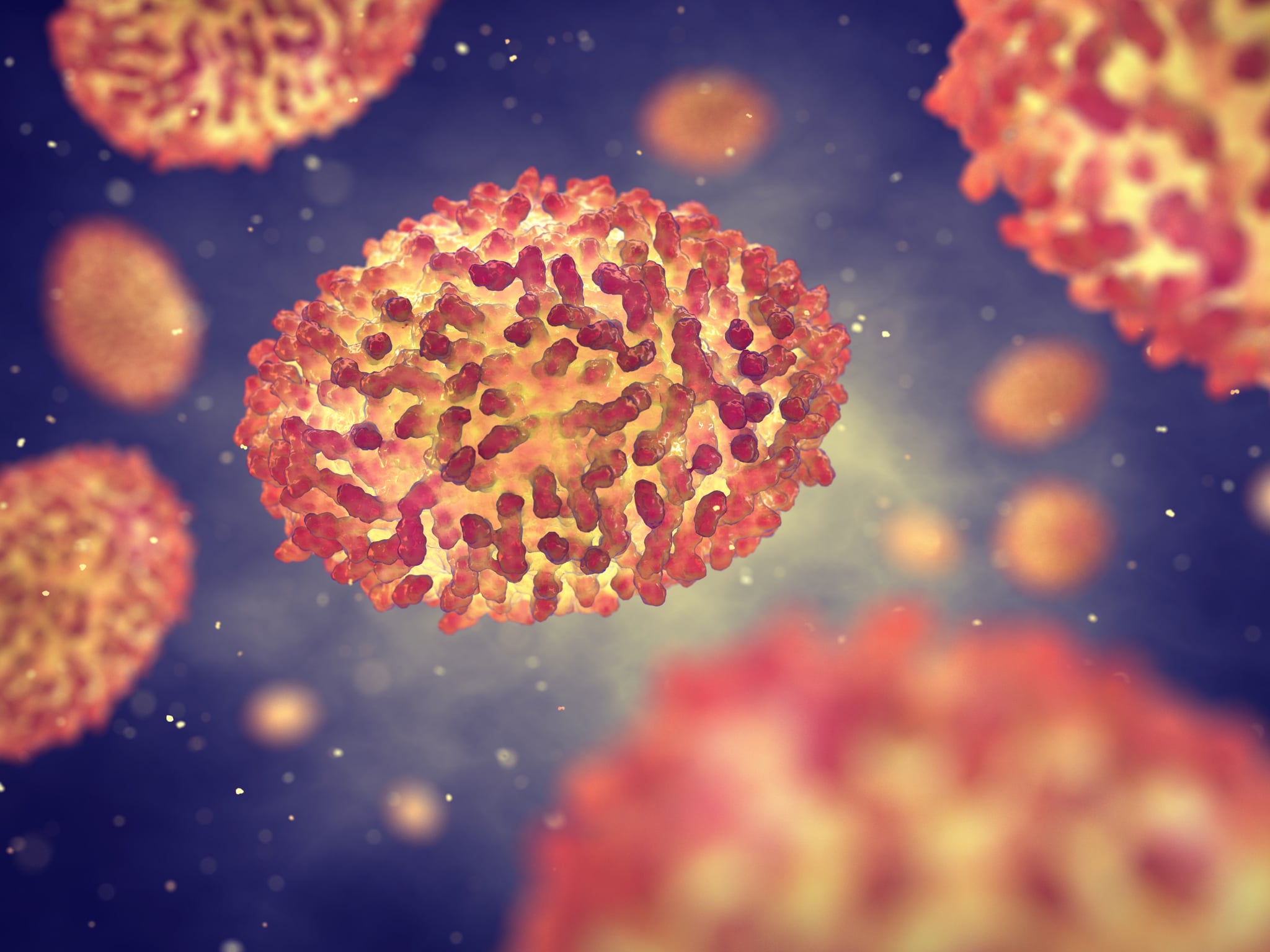 PrimeTime™  Pathogen Assays