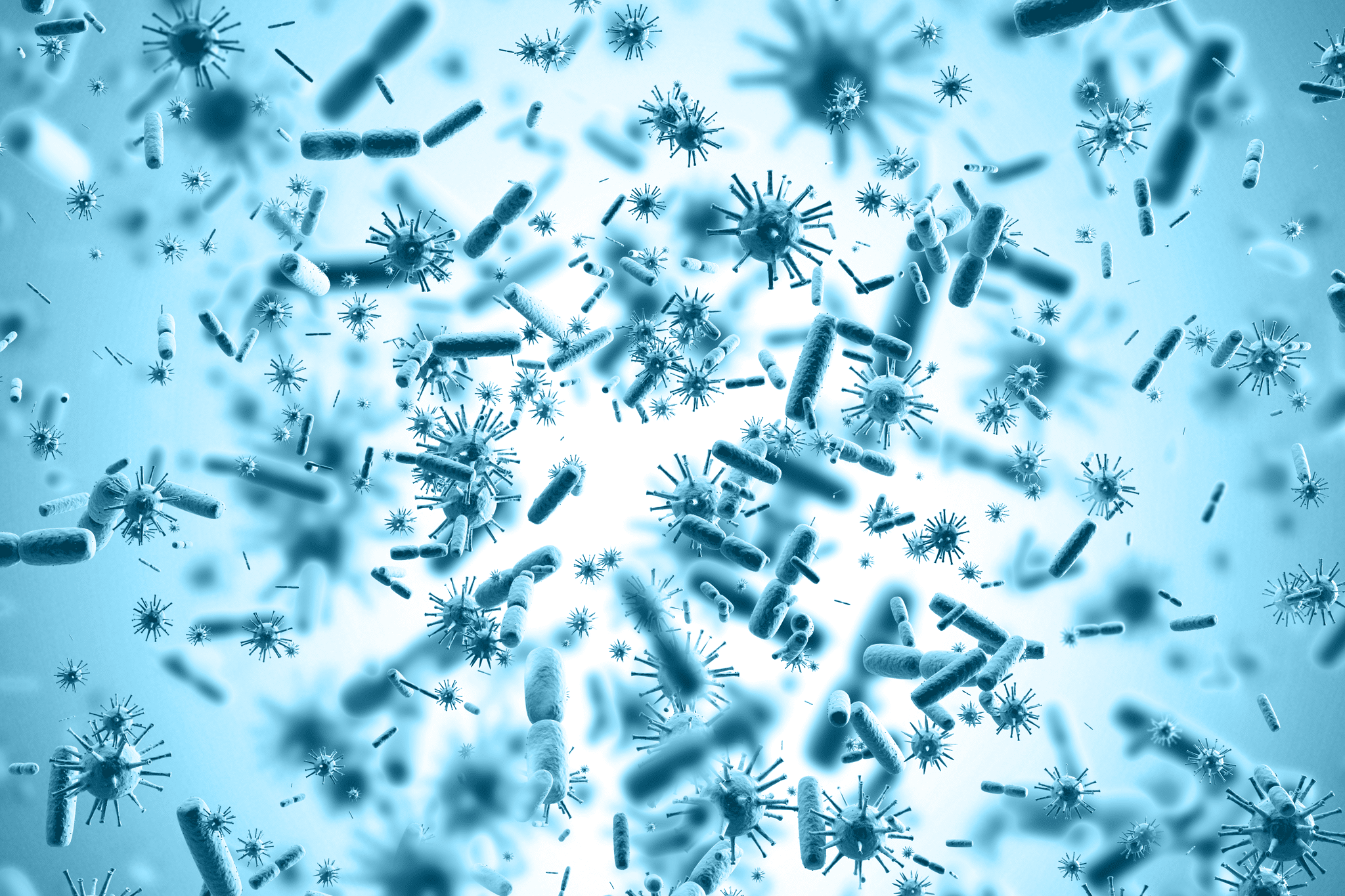 Predesigned qPCR Assays