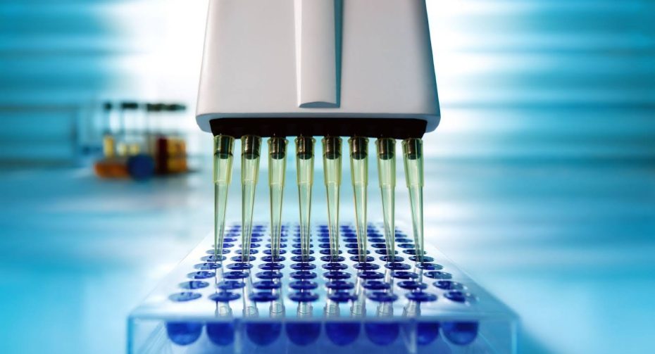 How to design primers and probes for PCR and qPCR