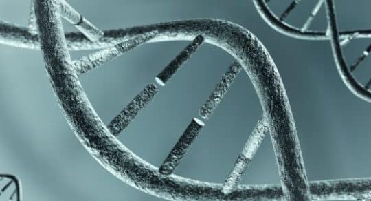 DNA extraction: Here's what you need to know