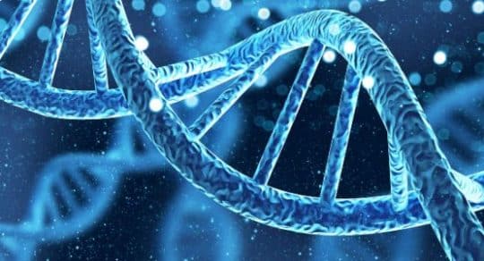 Leveraging digital droplet PCR (ddPCR) for accurate quantification of amplifiable DNA