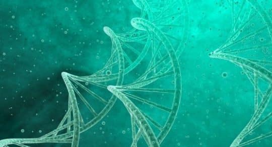 DNA synthesis: The basics