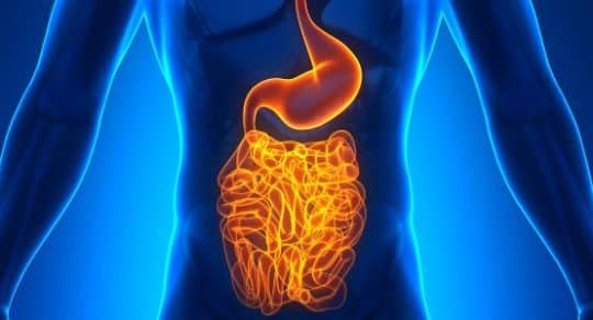Identifying cancer indicators in gut health