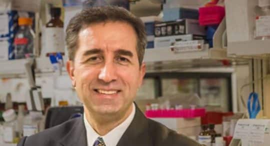 From reading the code of life to re-writing it: My journey through genomic era