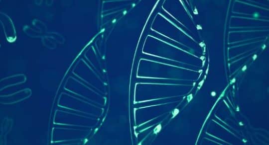 How to use FISH (Fluorescence In Situ Hybridization) to find specific DNA sequences